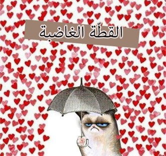 القطة الغاضبة