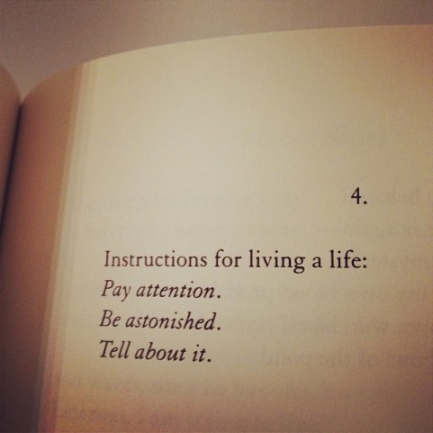 tumblr_o59wx4jIVB1qz6f4bo1_1280