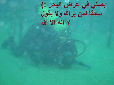 1001853_567059226677619_1177381555_n