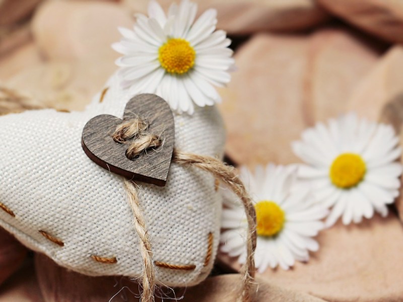 مصادر جيدة في حال رغبتَ بقراءة الفلسفة&nbsp;[2023]