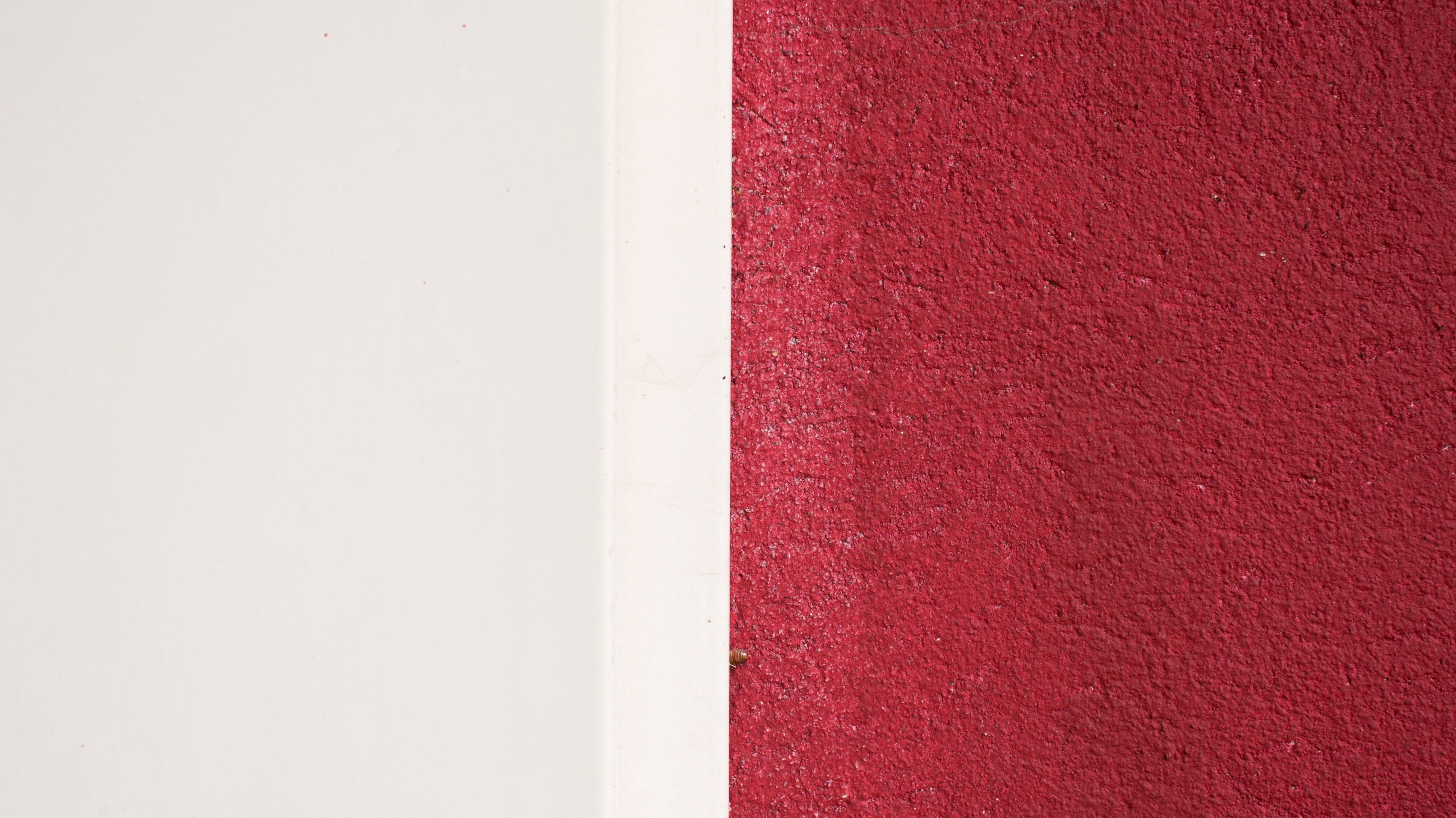 Photo by Janos Richter, courtesy of Unsplash
