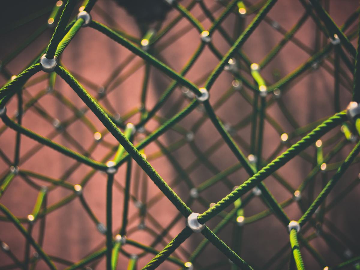 لو كان إيلون ماسك أبوك فماذا&nbsp;سيسميك؟