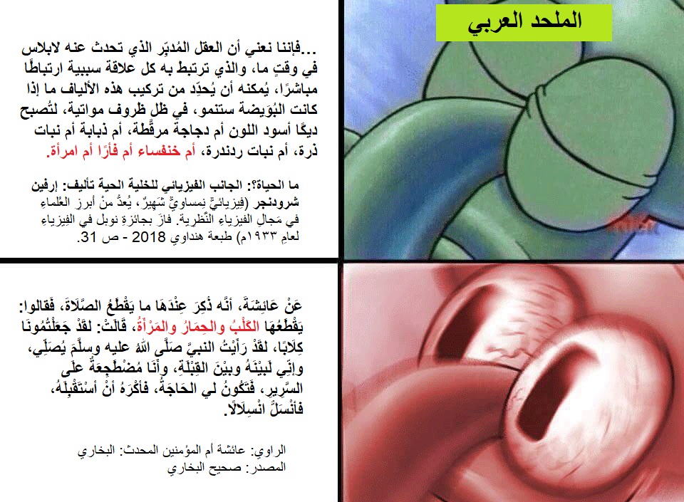 إرفين شرودنجر  مقابل البخاري