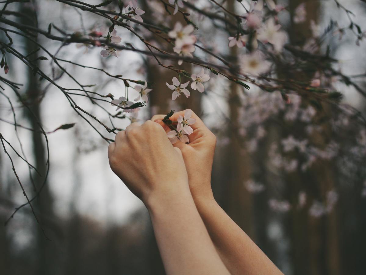 المُنتقون هم صُنّاع المحتوى&nbsp;الجُدد