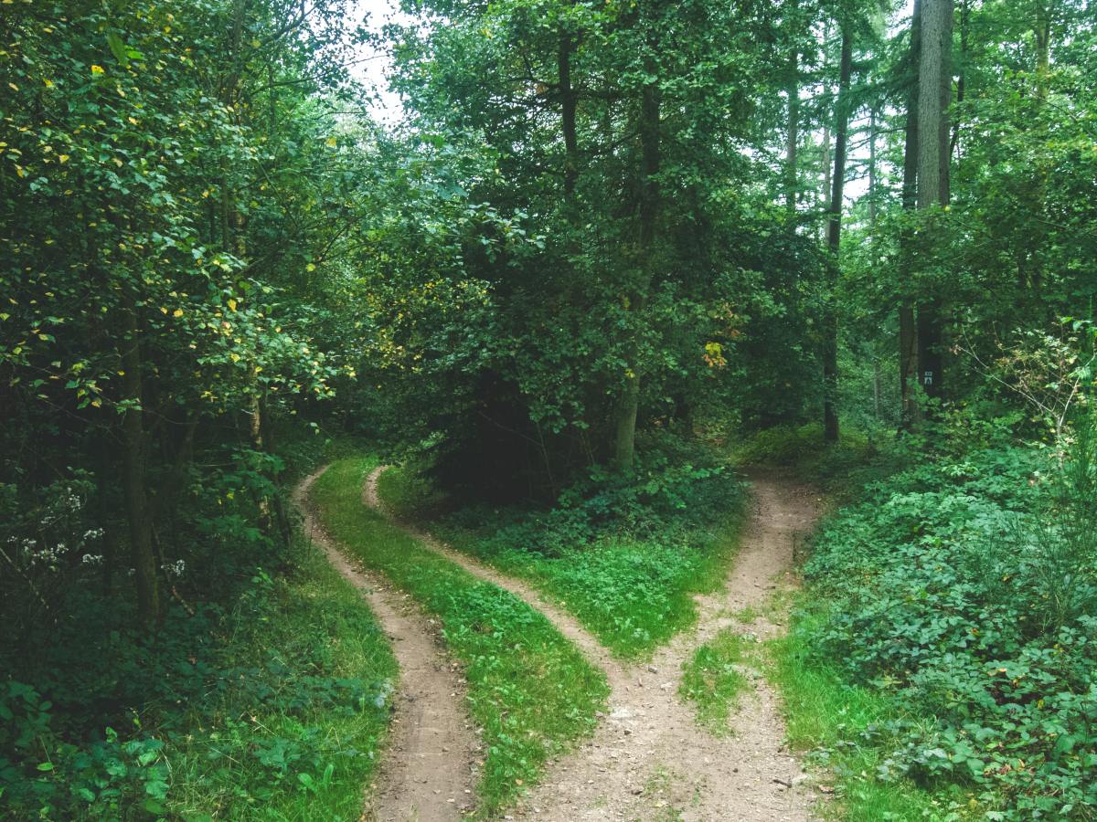 عن صناعة المحتوى وتأليف الكتب الرقمية وبيعها: حوار مع الدكتور أحمد&nbsp;شكري