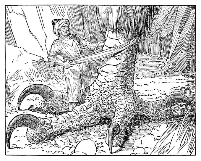 من هو هذا الرجل؟