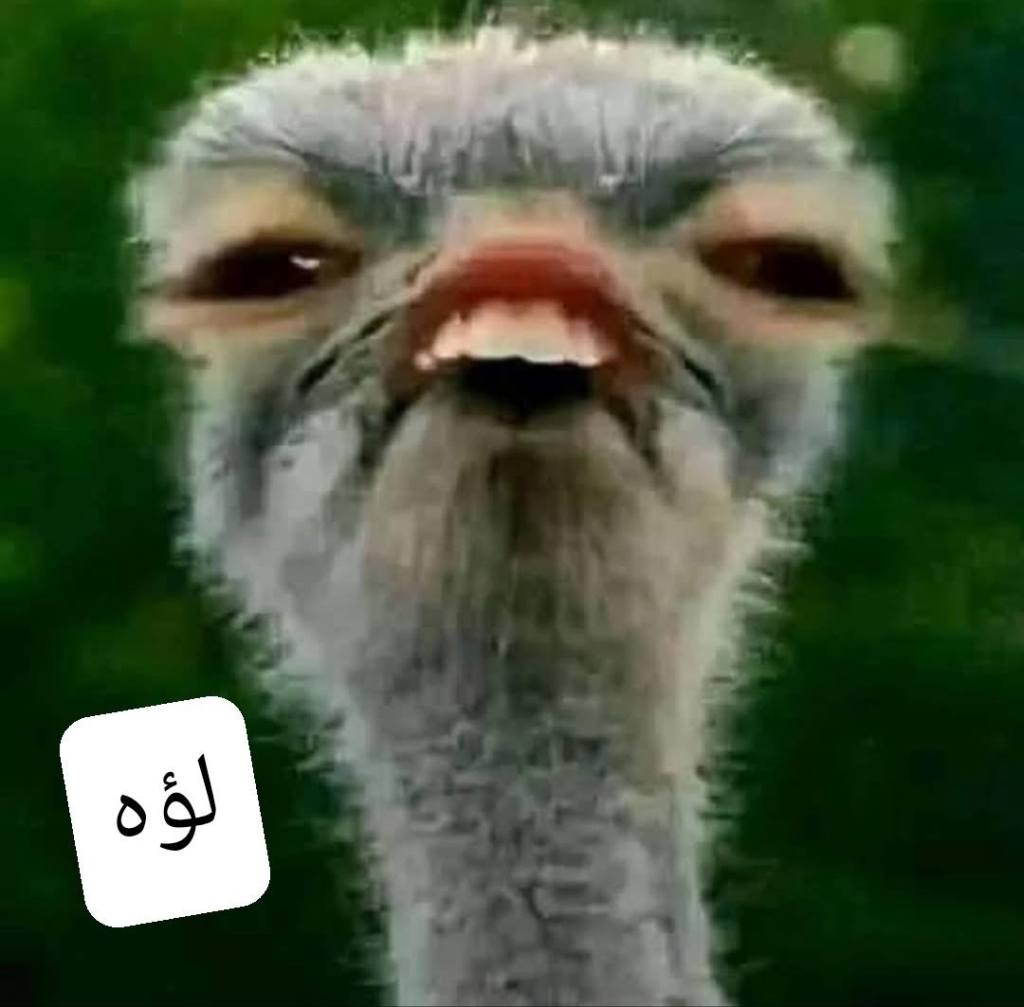 اللؤه الثانية التي سيخبطك بها صانع المحتوى العربي المزيّف لمّا تدعوه لخطة رُشدٍ تُحقق أصلًا ما يدعو إليه ولا تكلفه شيئًا. مصدر Mona Metwally