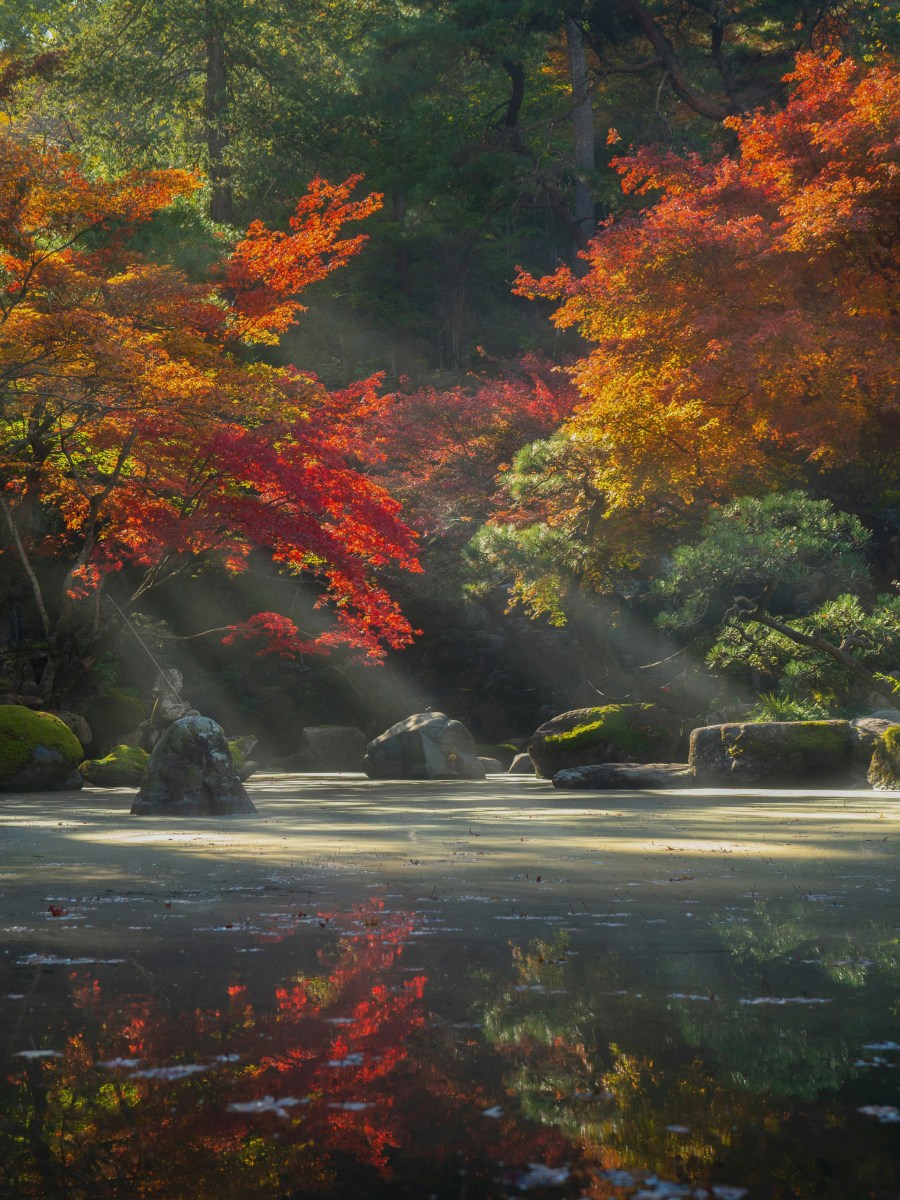 سؤالٌ يشغل صديقي هذه الأيام ويُعكِّر صفو يومه وأسلوب حياته؛ والجواب&nbsp;عليه