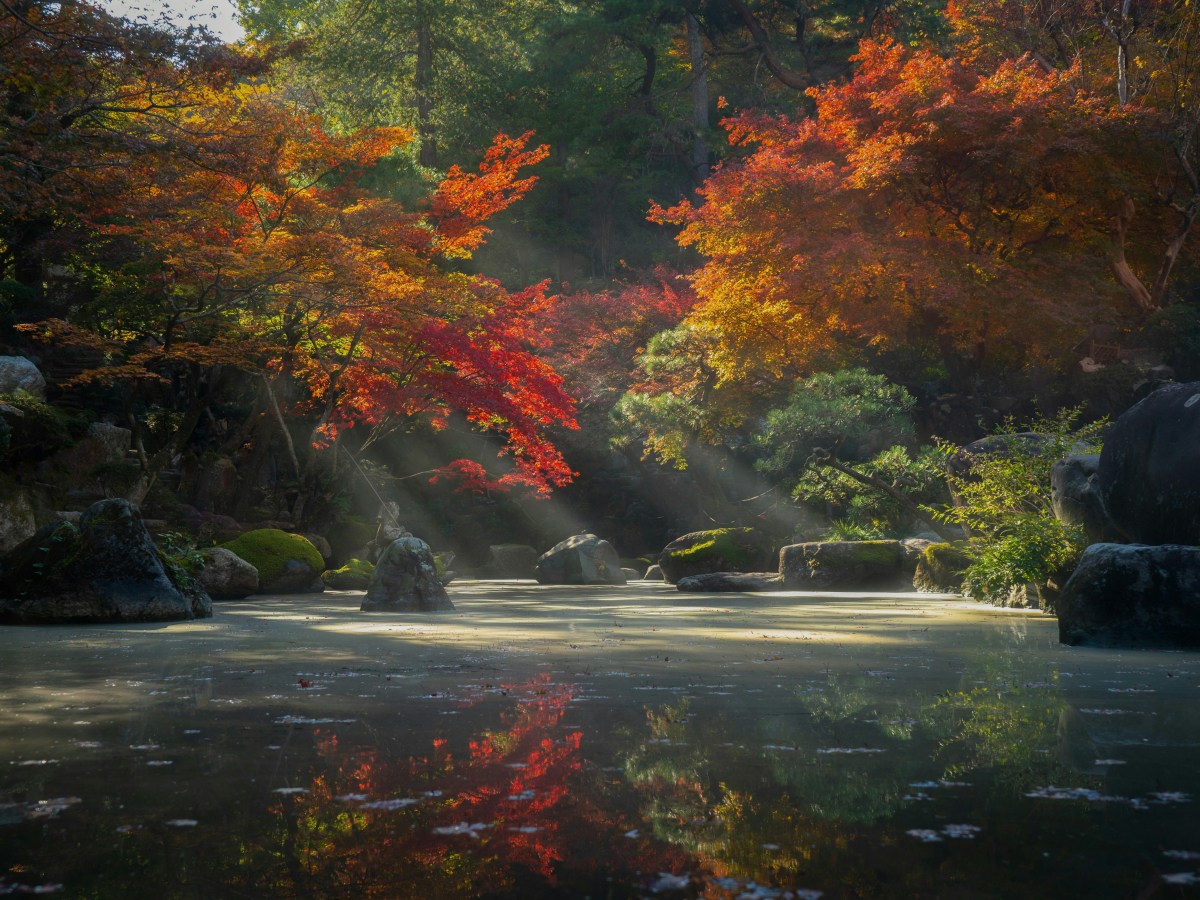 سؤالٌ يشغل صديقي هذه الأيام ويُعكِّر صفو يومه وأسلوب حياته؛ والجواب&nbsp;عليه
